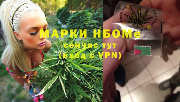 амф Ельня