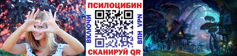 Галлюциногенные грибы Psilocybe  как найти   Коломна 